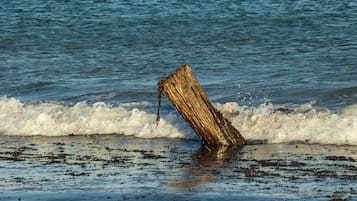 På stranden och vit sandstrand