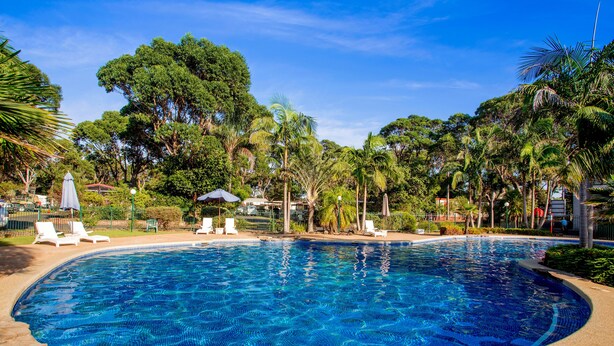A large, clear swimming pool surrounded by palm trees and lounge chairs. - NRMA Broulee Holiday Park (Broulee)