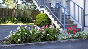 Un edificio con una escalera azul, un pequeño jardín con flores blancas y rosadas, y una valla al fondo.