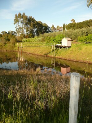 A tranquil riverside scene with a wooden dock, a small shed, and lush greenery.