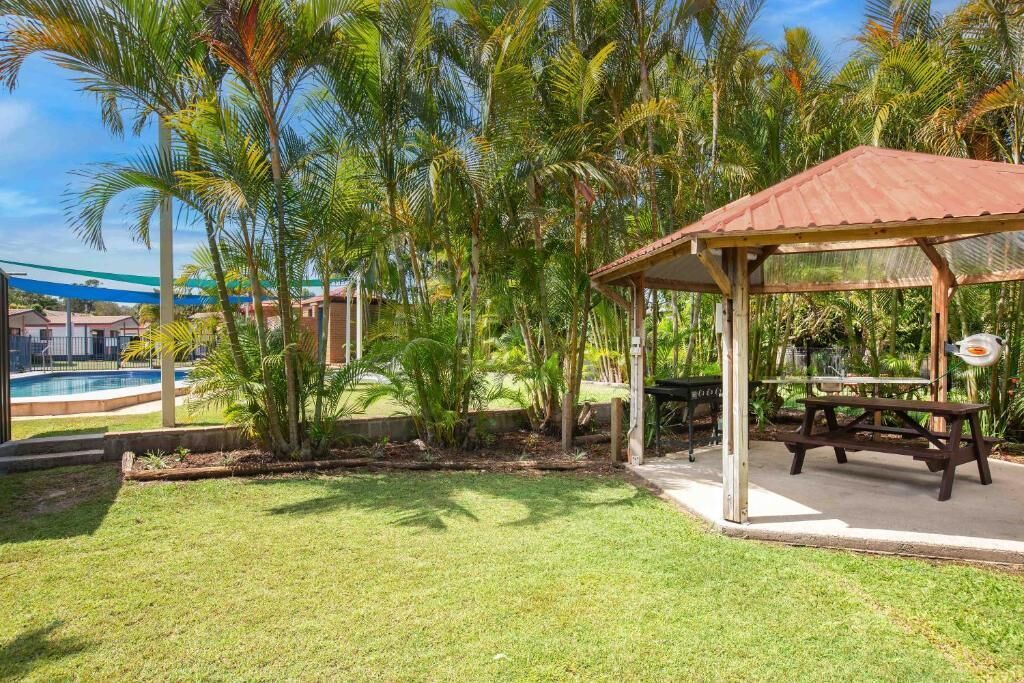 A covered outdoor area with a picnic table, surrounded by palm trees and a pool.