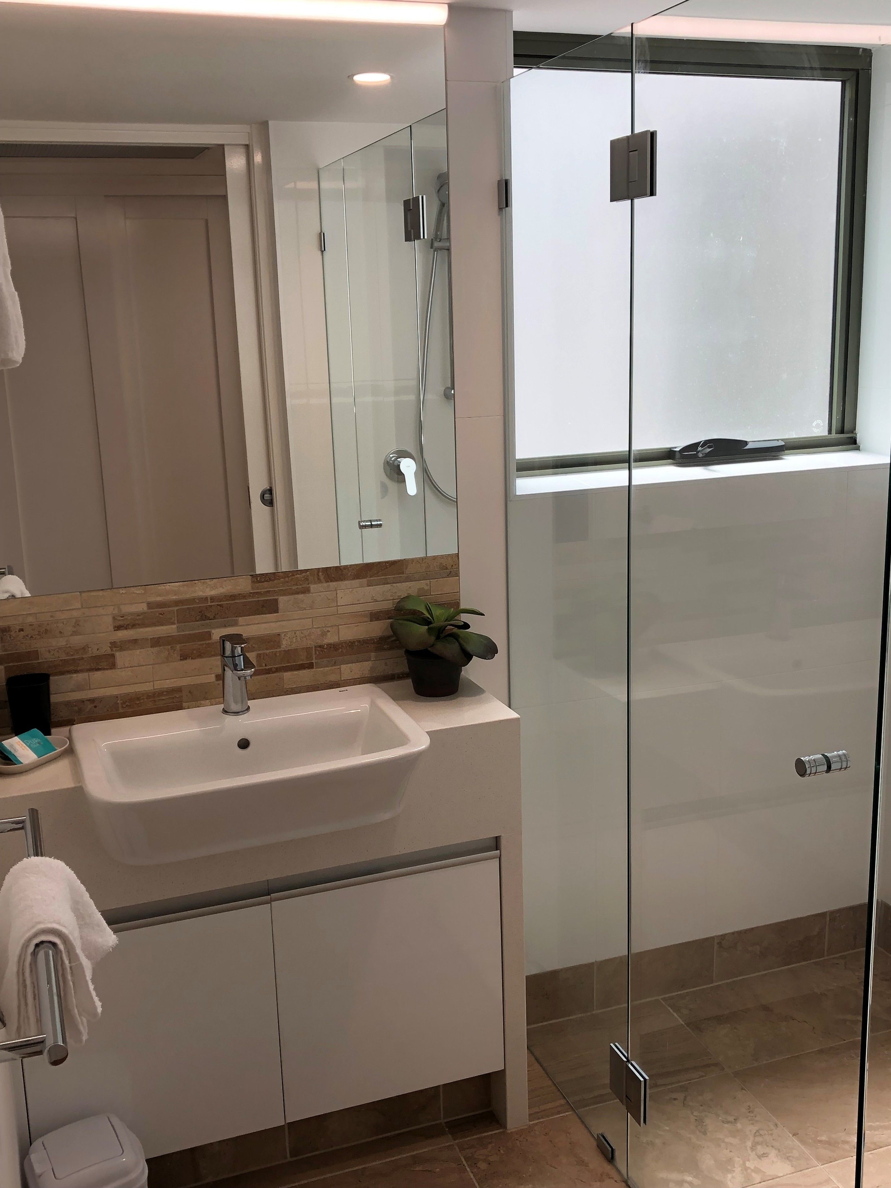A modern bathroom with a glass shower enclosure, a white sink, and a potted plant on the vanity.