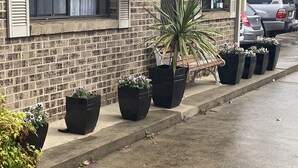 Un bâtiment en briques avec une enseigne indiquant « réception », des plantes en pot et des voitures garées.