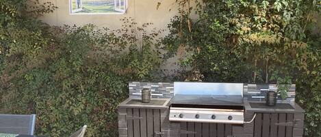 An outdoor patio with a grill, a table with chairs, and a view of the countryside through a window.
