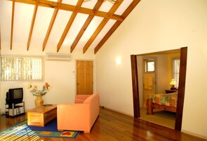 平板电视、DVD 播放器