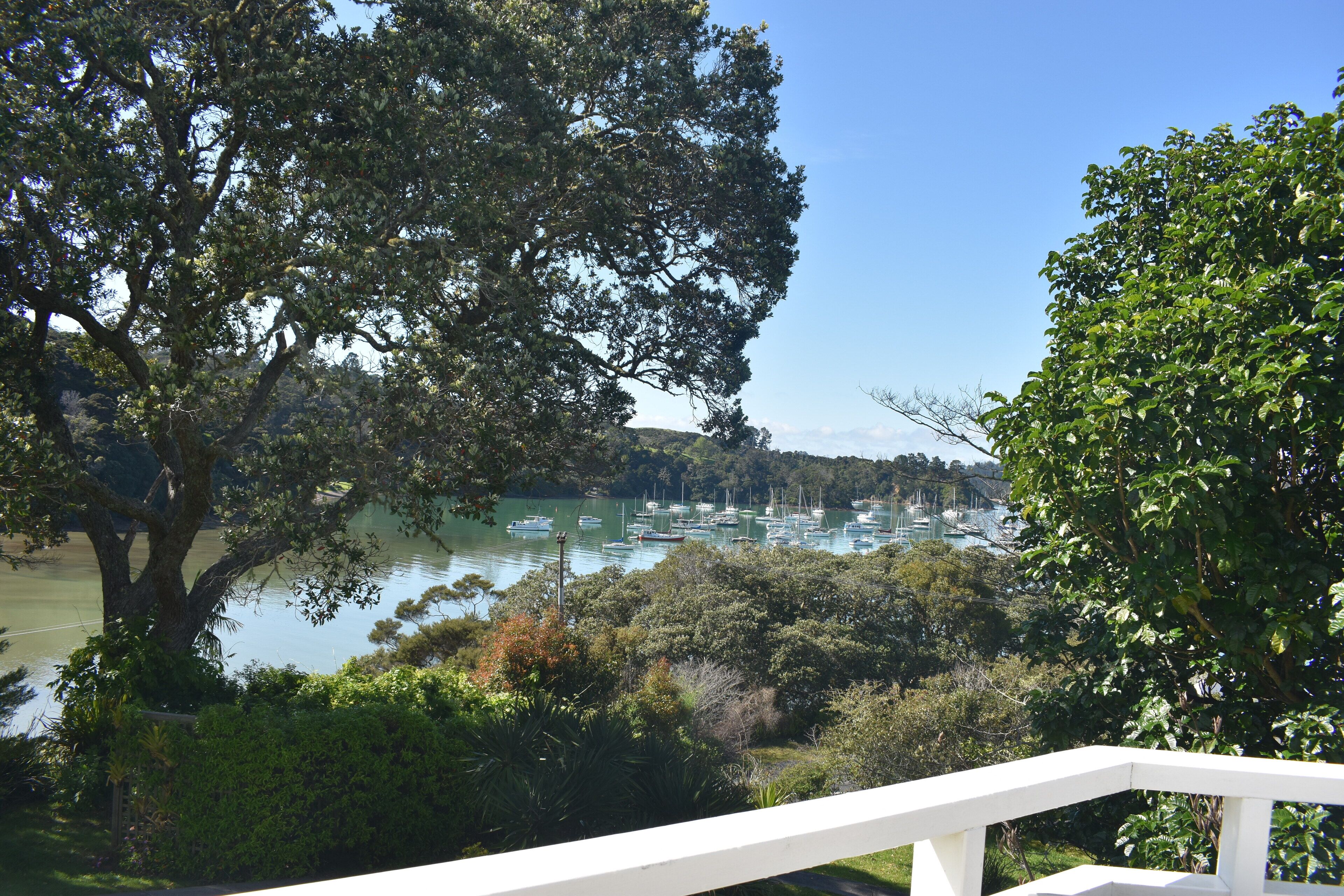 A view of a lake with boats, surrounded by dense greenery and trees.