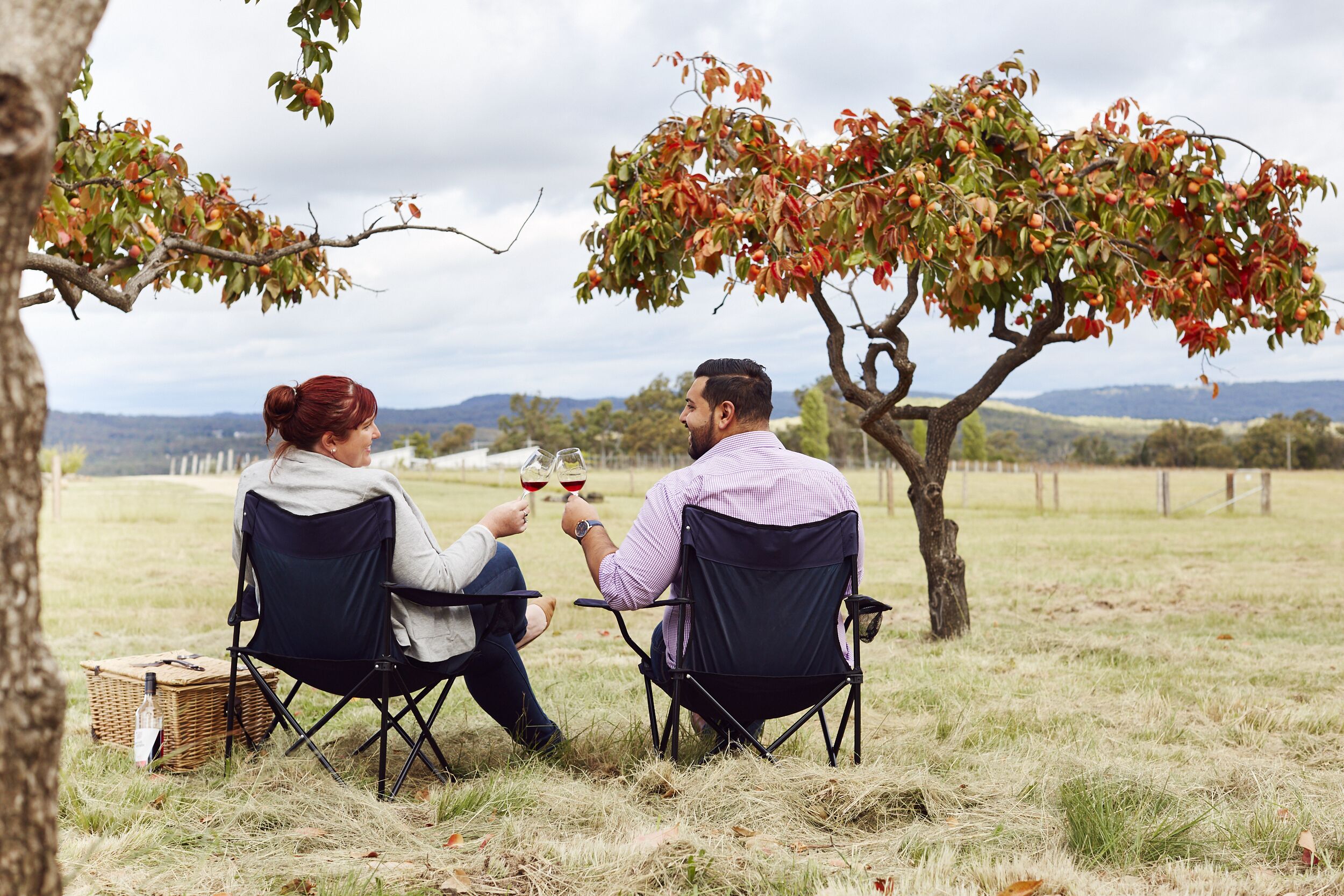 Two people sitting on folding chairs in an open field with a vineyard in the background.