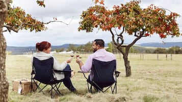 Dos personas sentadas en sillas plegables en un campo abierto, con un viñedo al fondo.