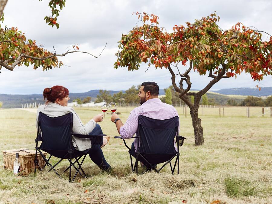 Dos personas sentadas en sillas plegables en un campo abierto, con un viñedo al fondo.