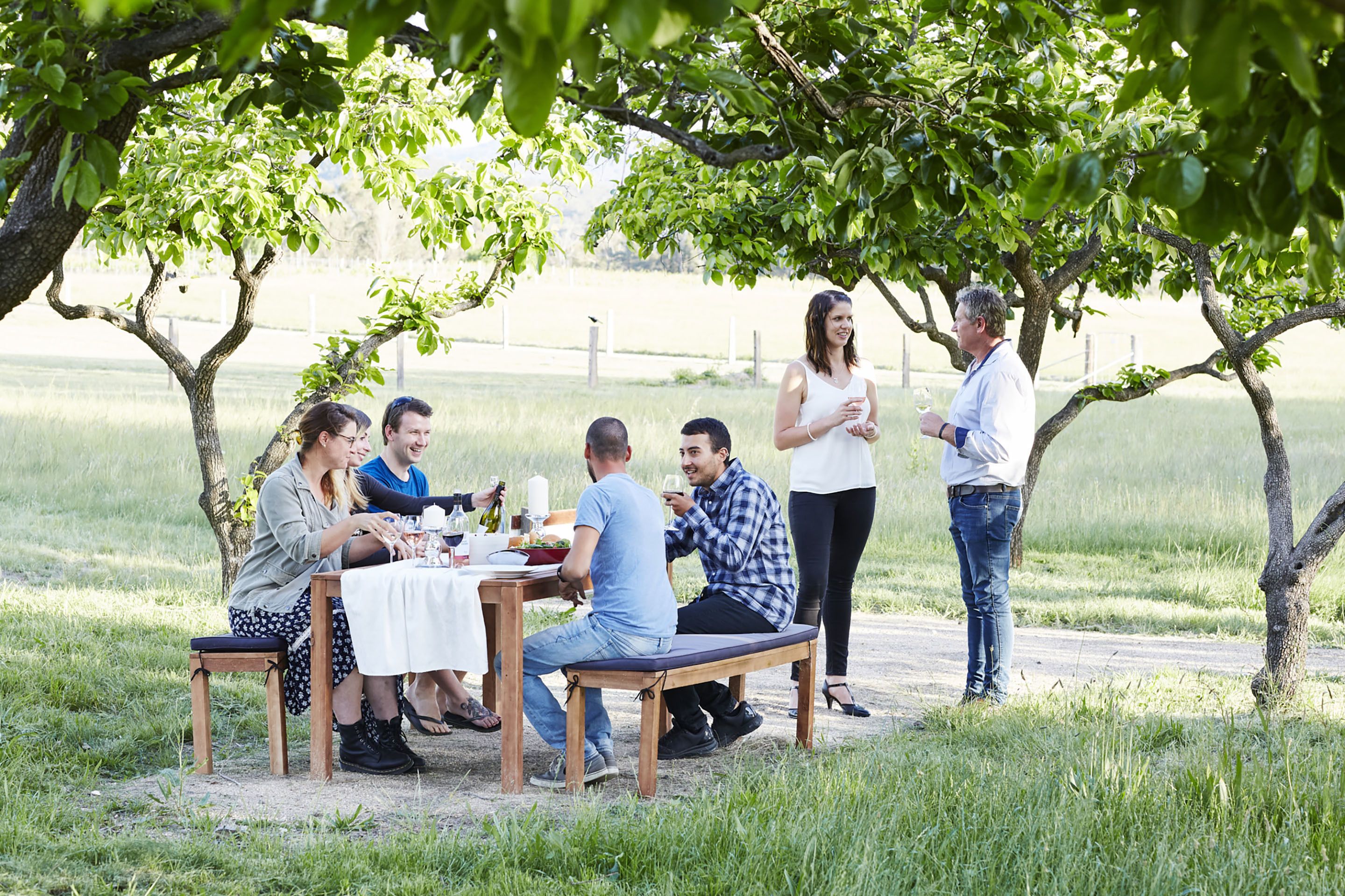 A group of people dining outdoors under trees with a table set for a meal.