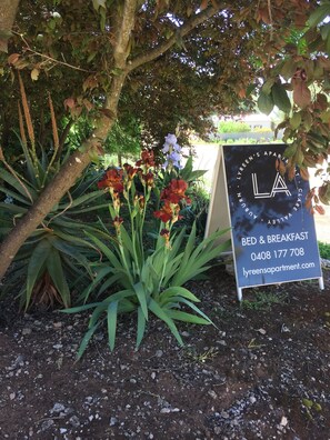 A sign for Lyrens Apartment with a bed and breakfast service, including contact information and a website. - Lyreen's Apartment B&B (Auburn)