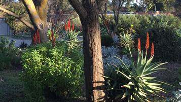 A garden with a large tree, various shrubs, and flowering plants.