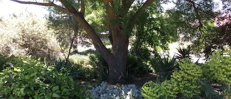 Jardín