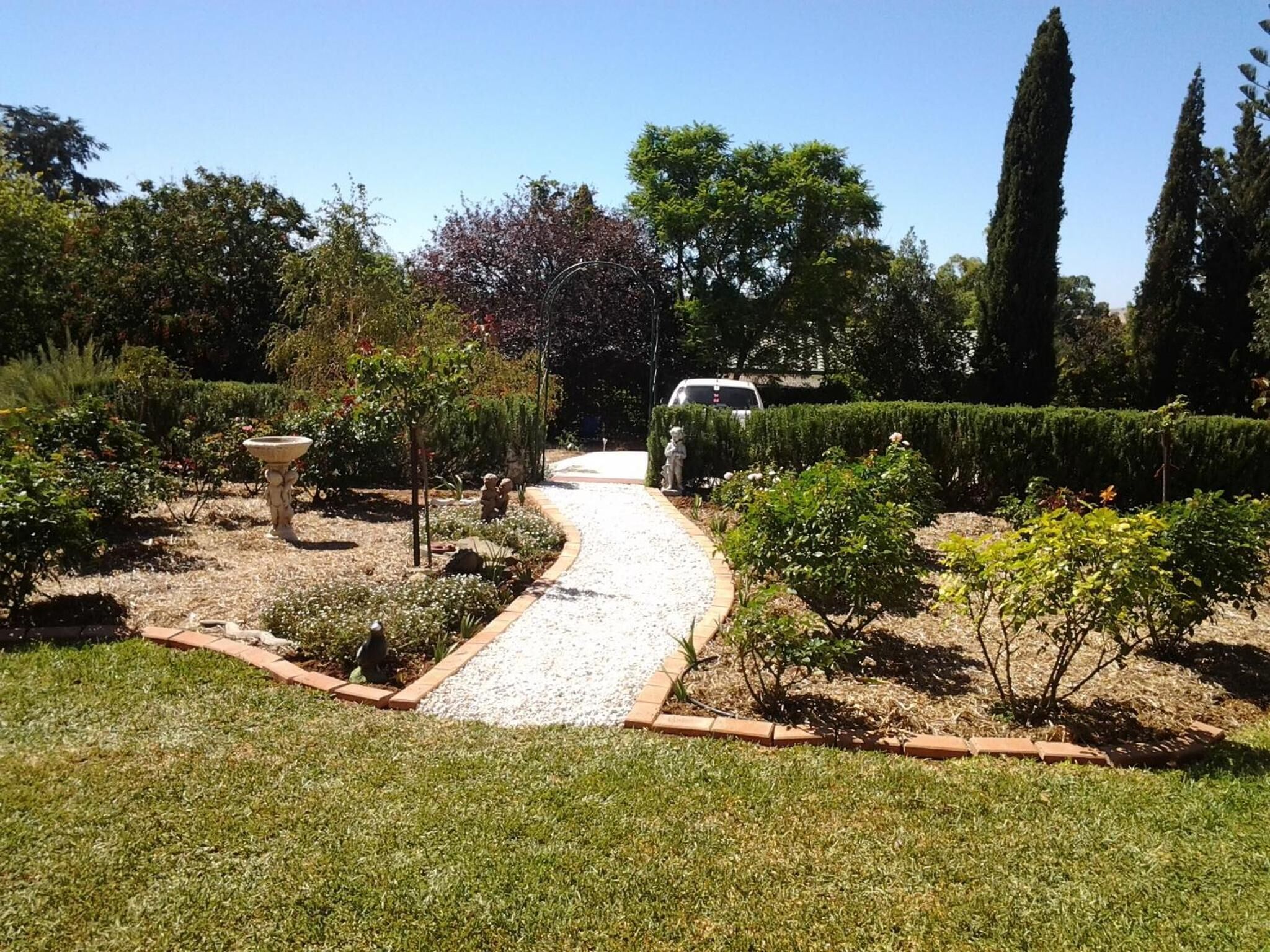 A garden pathway with a gravel path, surrounded by various plants and trees, leading to a parked car.