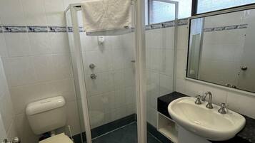 Un baño con inodoro, mampara de ducha de vidrio, lavamanos y espejo.