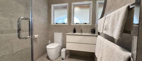 Un baño moderno con cabina de ducha de vidrio, inodoro, lavabo con espejo arriba y un perchero para toallas.