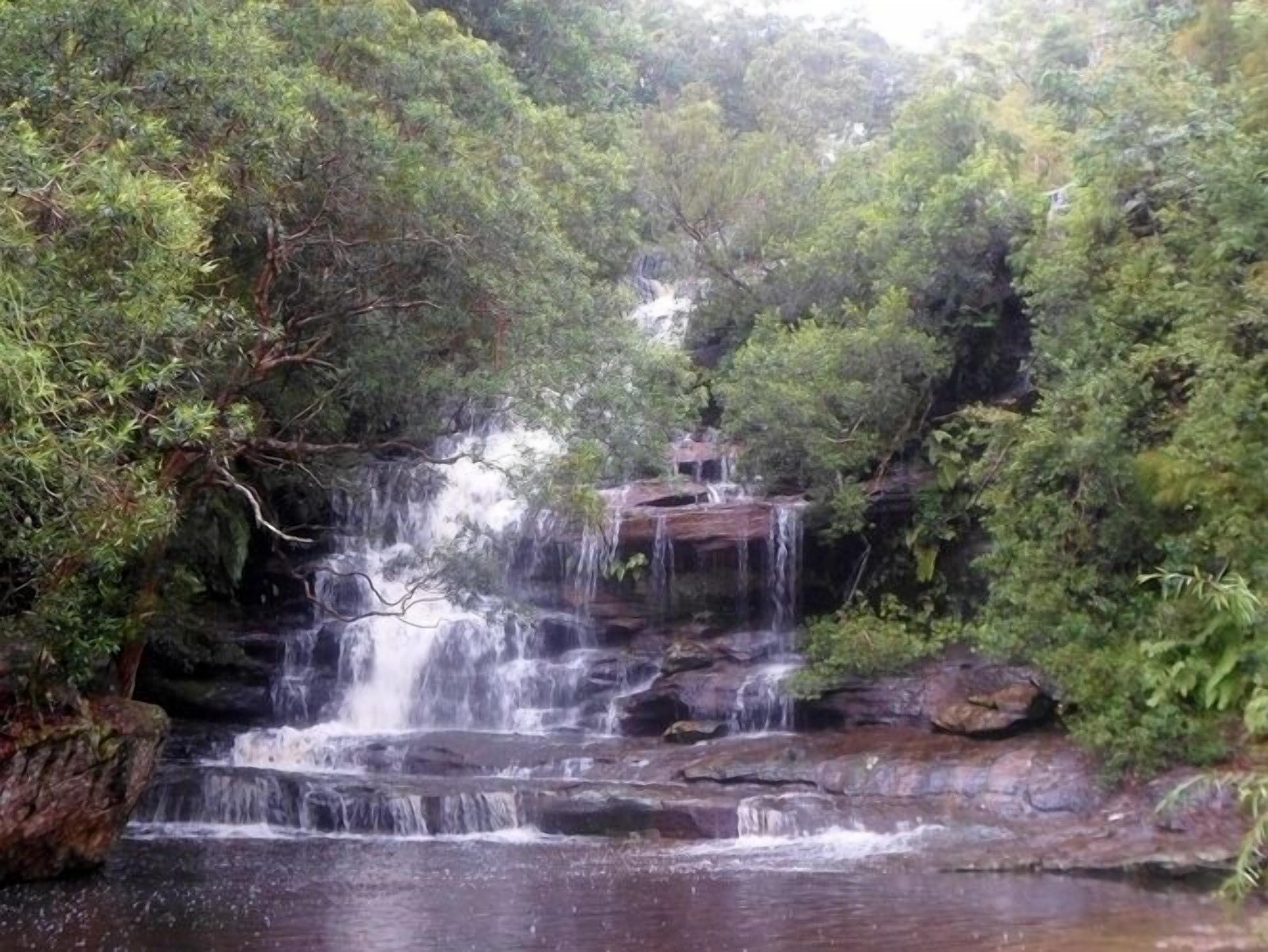A waterfall cascading over rocks surrounded by dense greenery.