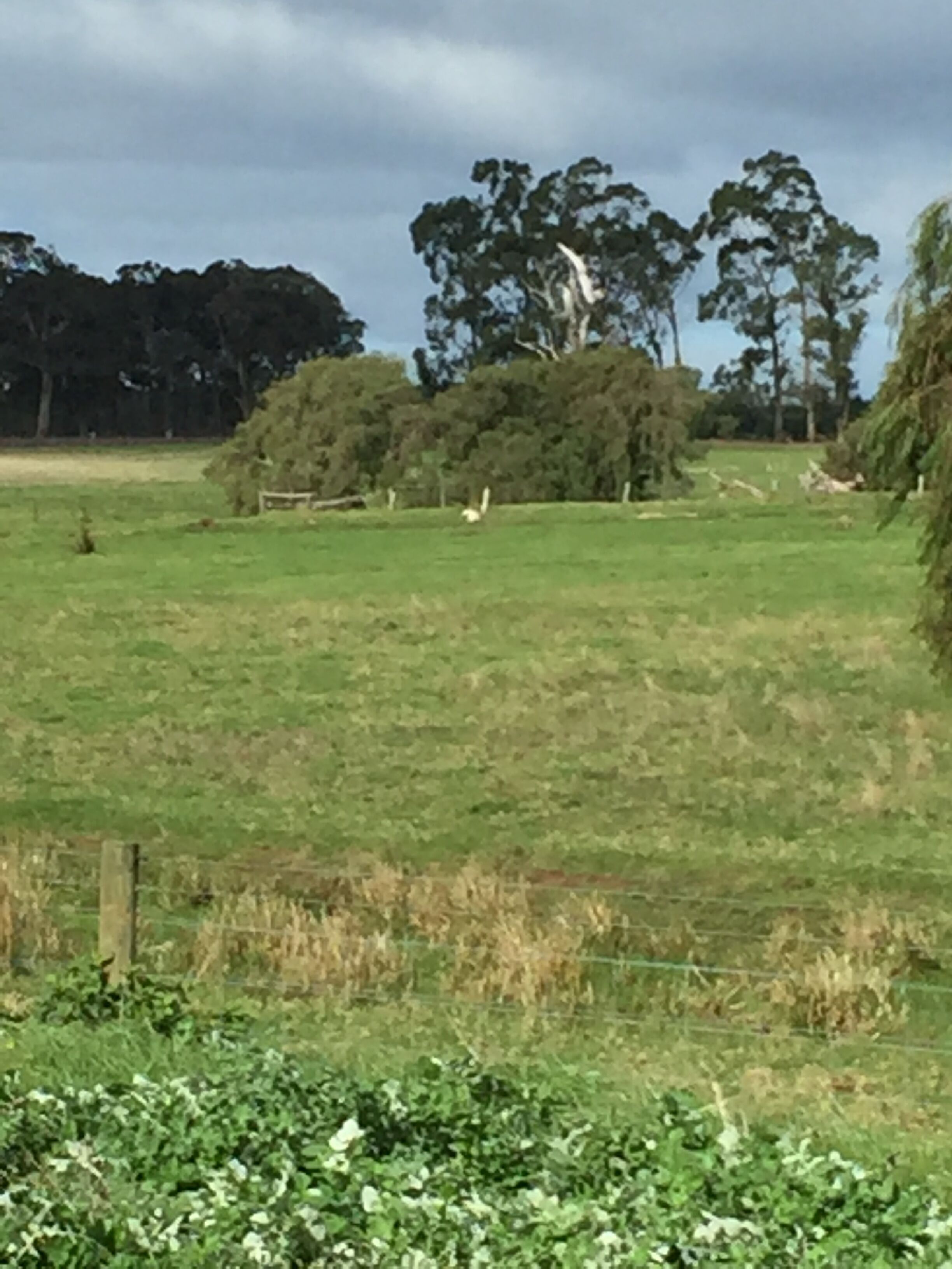 economy double room, 1 queen bed | garden view