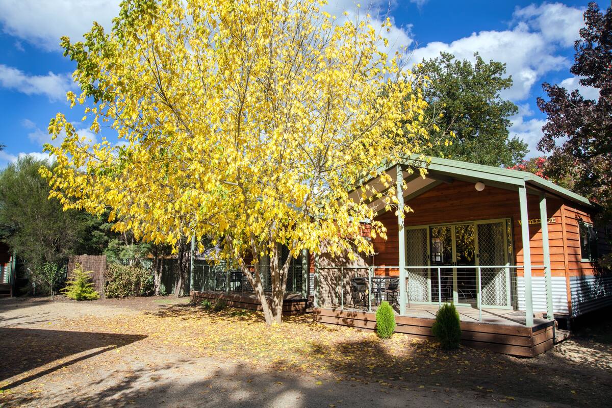 A wooden cabin with a porch, surrounded by trees with yellow leaves, under a clear blue sky.