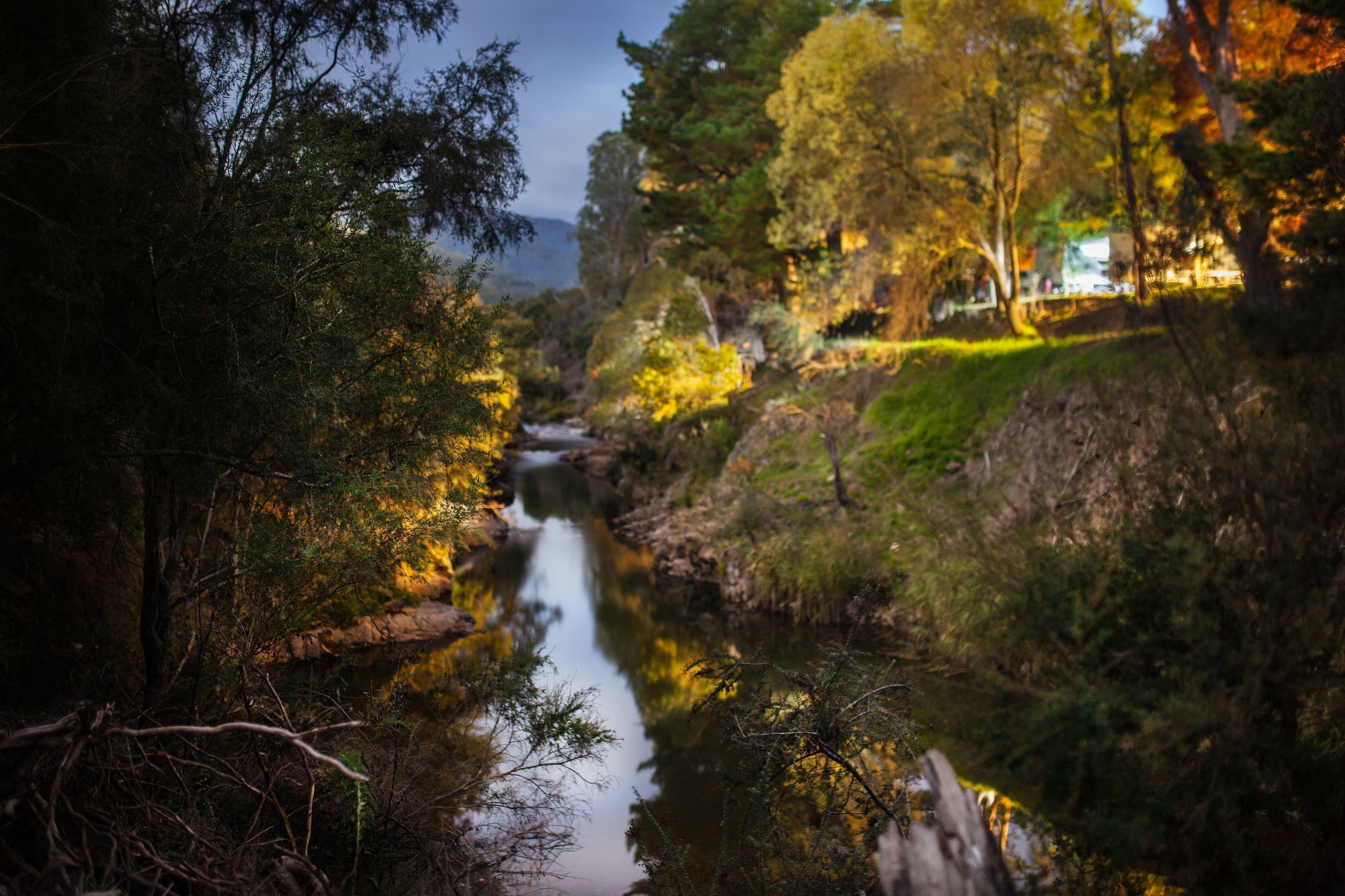 A river flowing through a forested area with trees reflecting light.