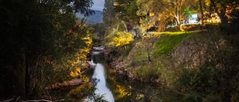 A river flowing through a forested area with trees reflecting light.