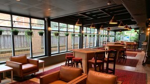 A spacious indoor area with leather chairs and tables, large windows with hanging plants, and a bar area. - Southend Hotel (Maroubra)