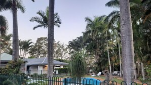 Quintal cercado com piscina, palmeiras e uma casa ao fundo.
