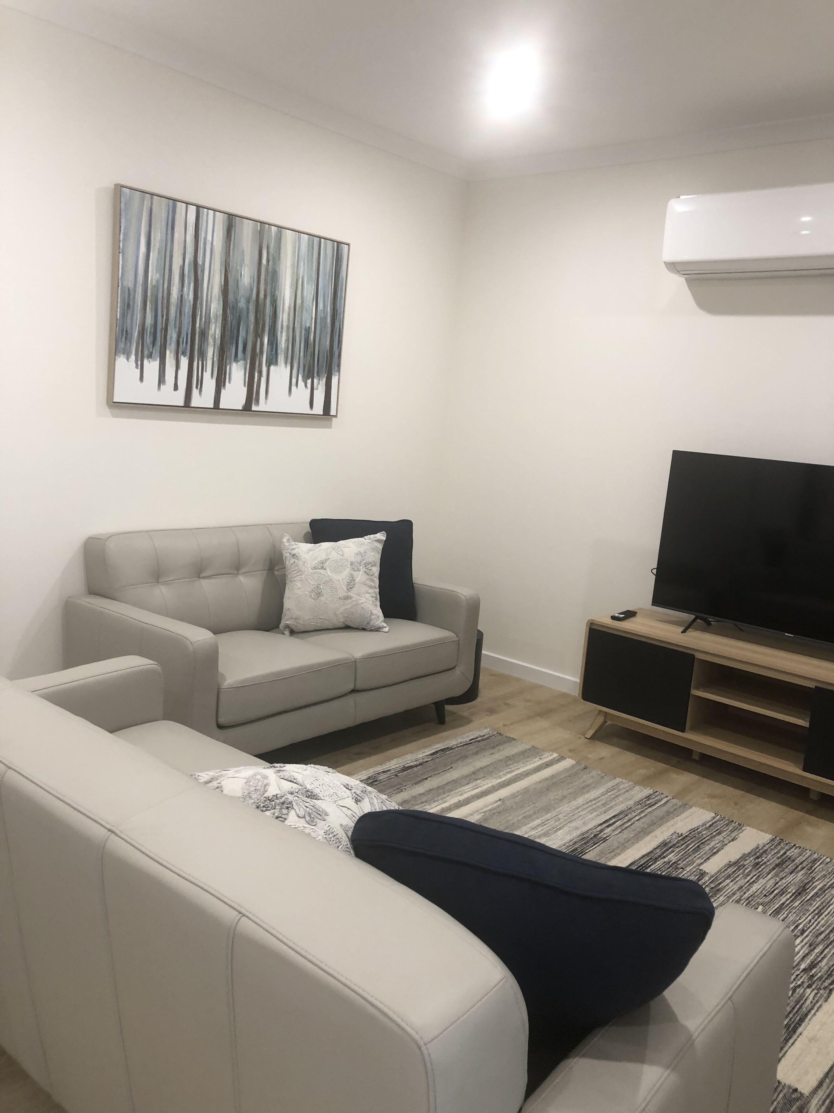Ein modernes Wohnzimmer mit einer grauen Couch, einer schwarz-weißen Decke, einem Flachbildfernseher auf einem Holzständer und einem Baumgemälde an der Wand.