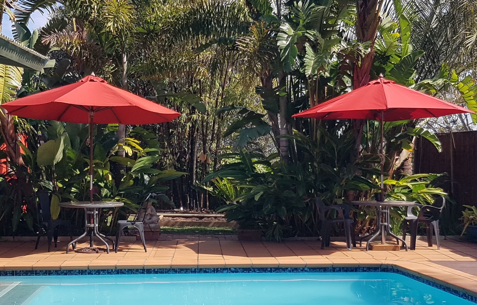 A poolside area with two red umbrellas, a tiled pool, and lush tropical plants.