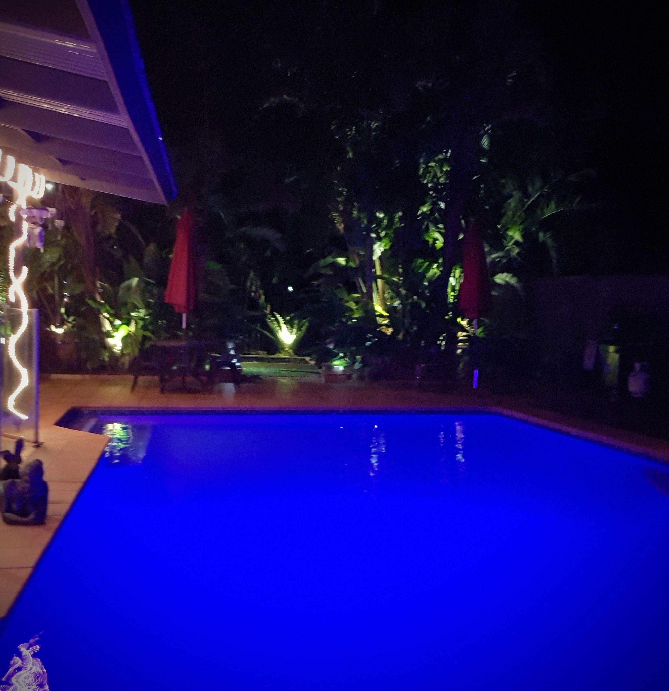 A swimming pool with a tiled deck, surrounded by palm trees and a covered area with red umbrellas.