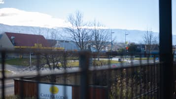 開放式客房 | 露台/庭院