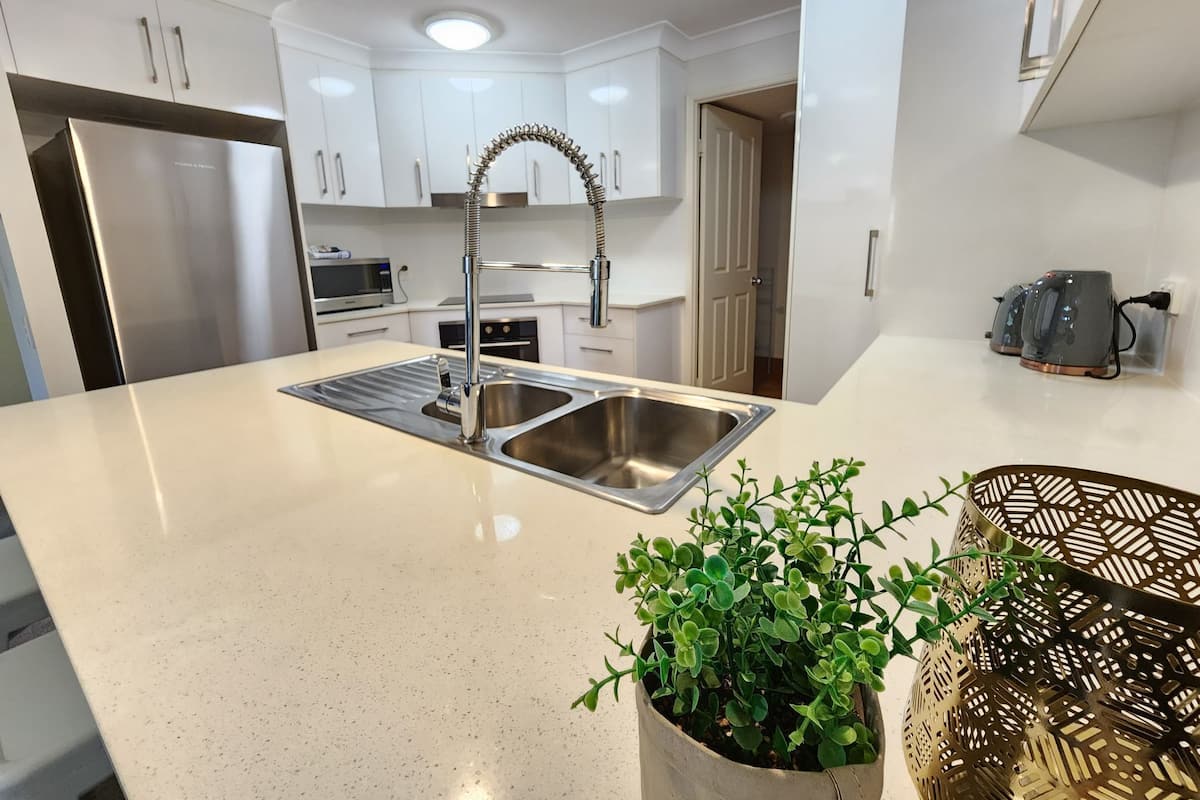 A modern kitchen with white cabinets, stainless steel appliances, a double sink, and a potted plant.