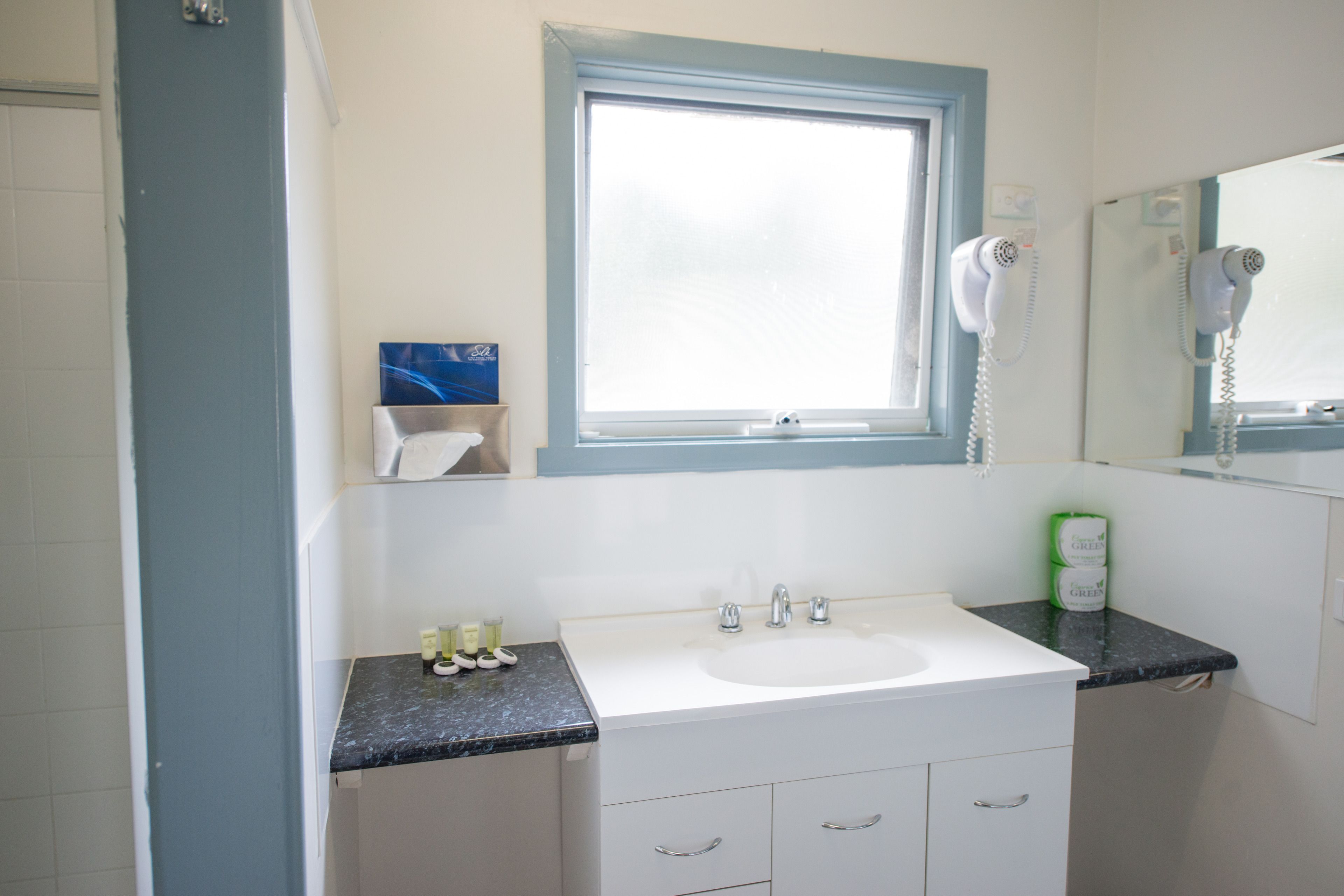 A bathroom with a white sink, a window, a hairdryer, and a green bottle of shampoo.