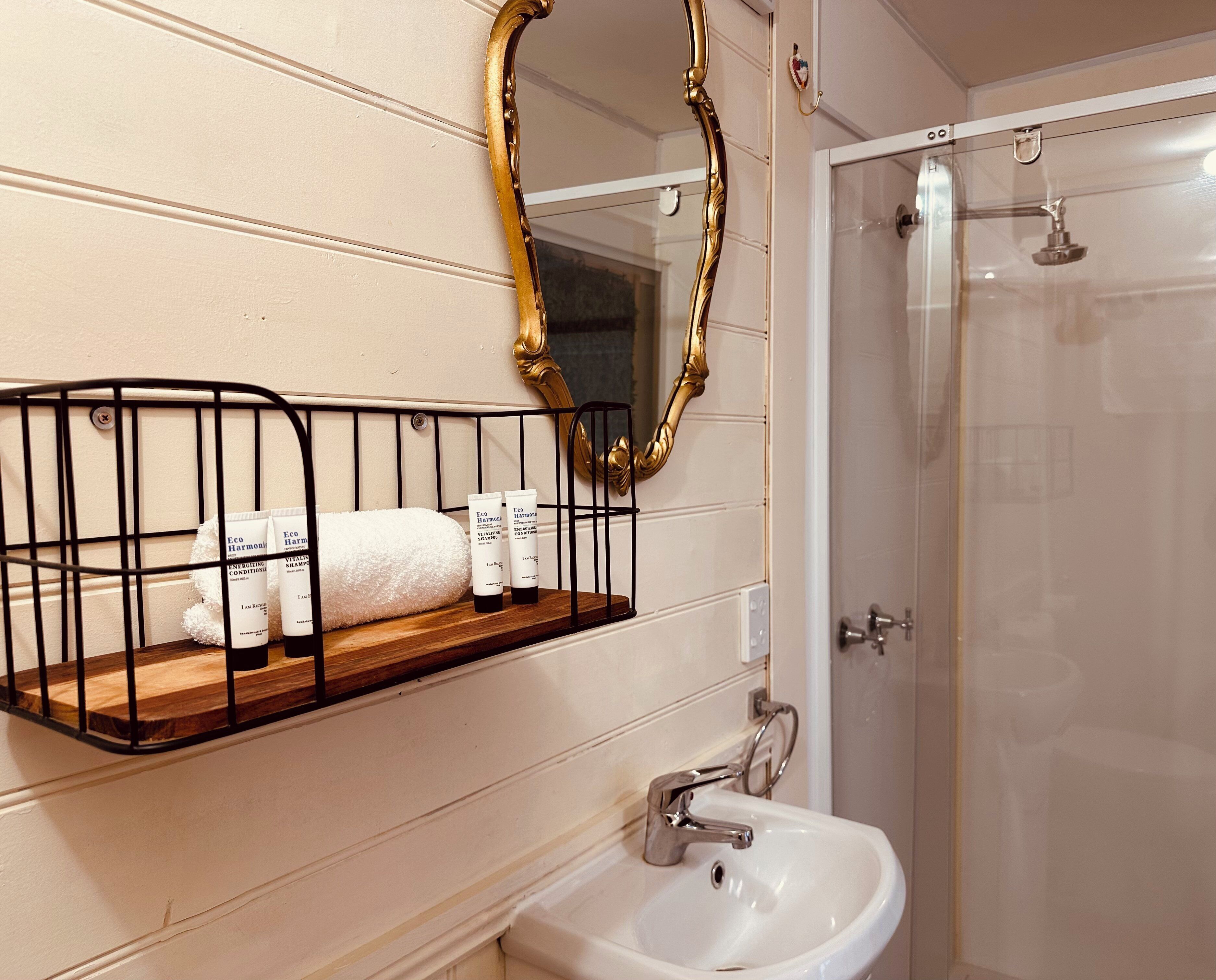 Une salle de bain avec un lavabo blanc, un miroir avec un cadre doré et un espace douche.