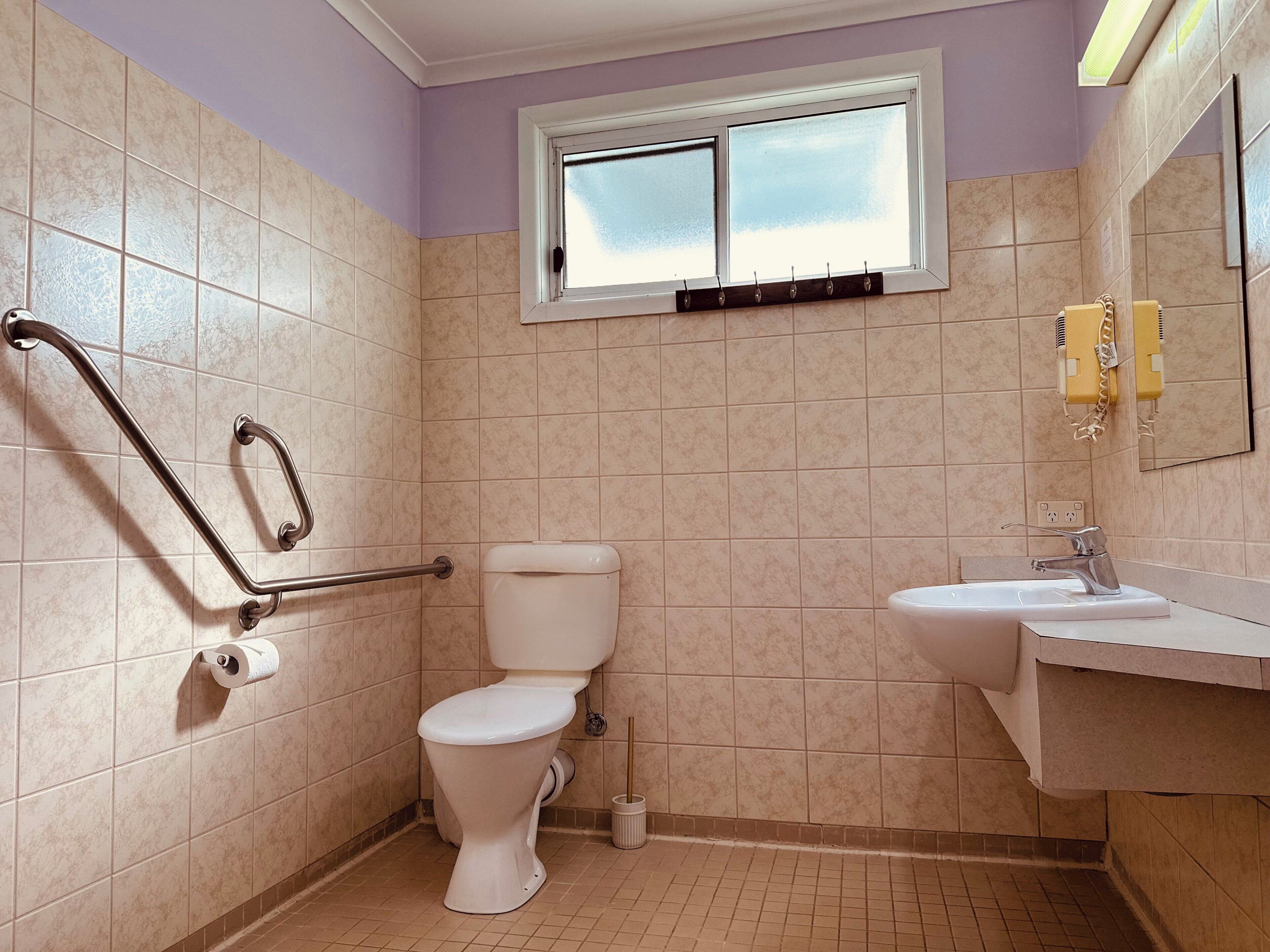 A bathroom with a toilet, a sink, a window, and a handrail.