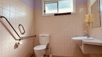 A bathroom with a toilet, a sink, a window, and a handrail.