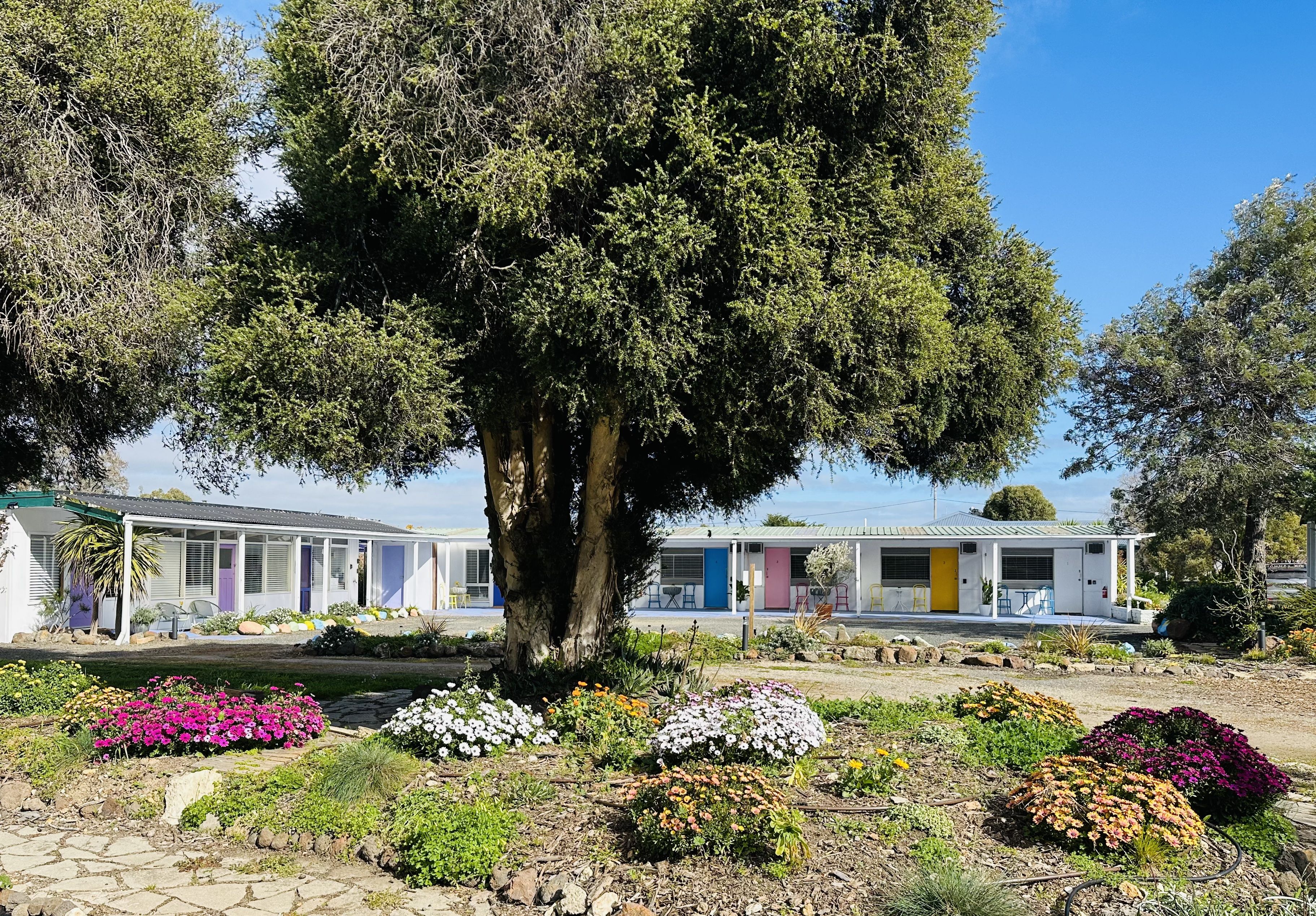 A row of single-story buildings with a large tree in the foreground.