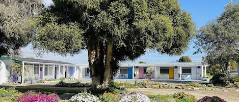 A row of single-story buildings with a large tree in the foreground.