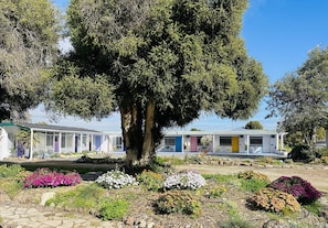 Una hilera de edificios de una sola planta con un árbol grande al frente.