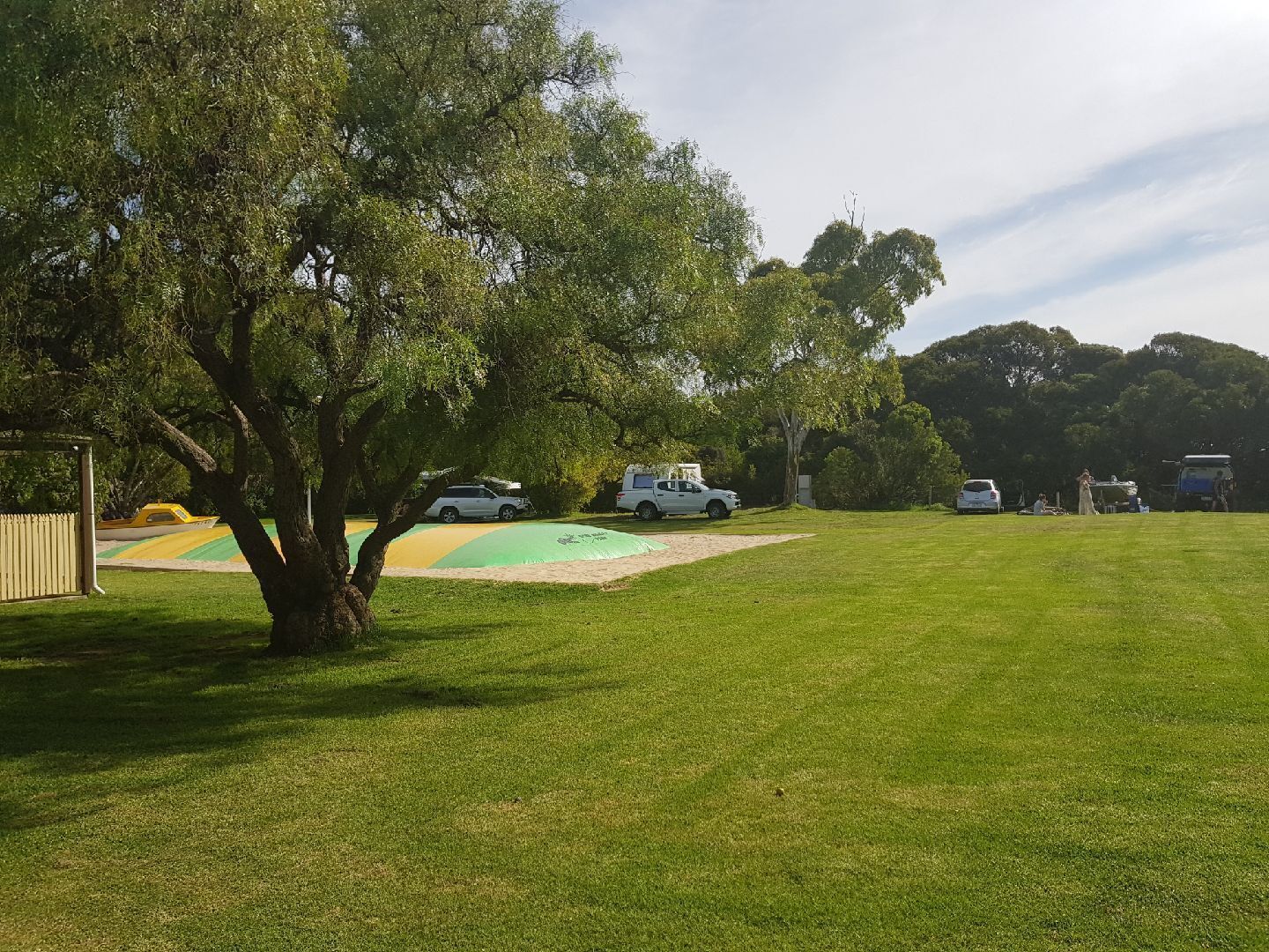 Un campo cubierto de césped con un árbol grande y un área de juegos.