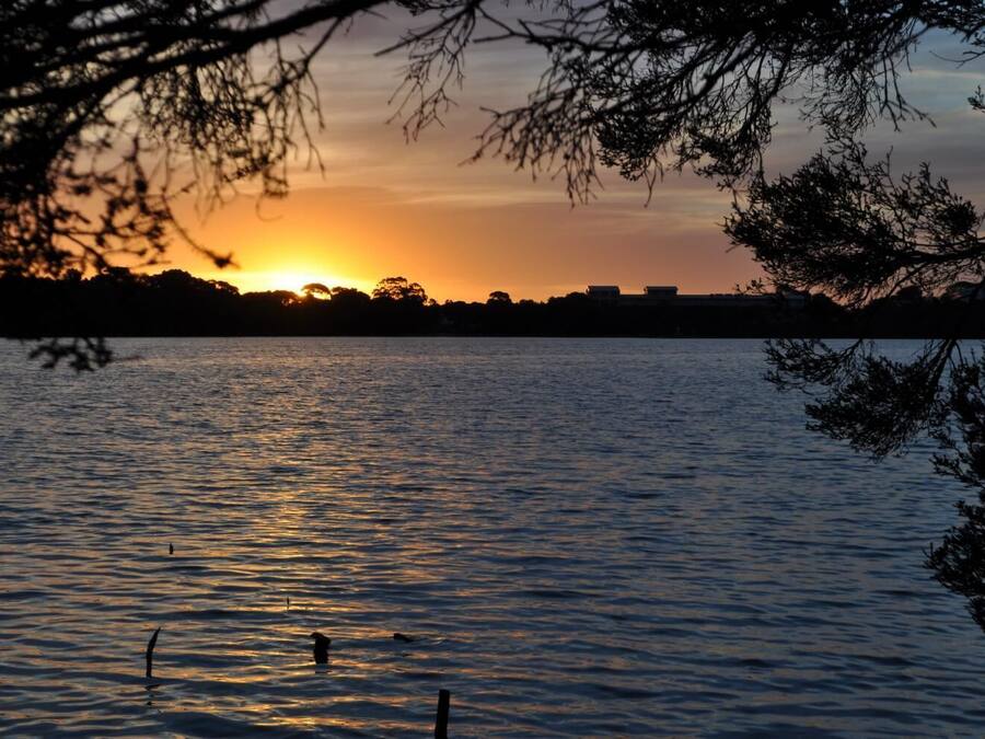 Un coucher de soleil sur une étendue d’eau calme, avec les silhouettes d’arbres et de bâtiments en arrière-plan.