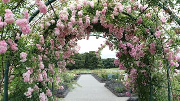 Nursery