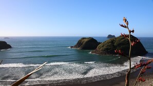 A coastal view with rocky outcrops and calm sea. - Bk's Counties Motor Lodge (Pukekohe)