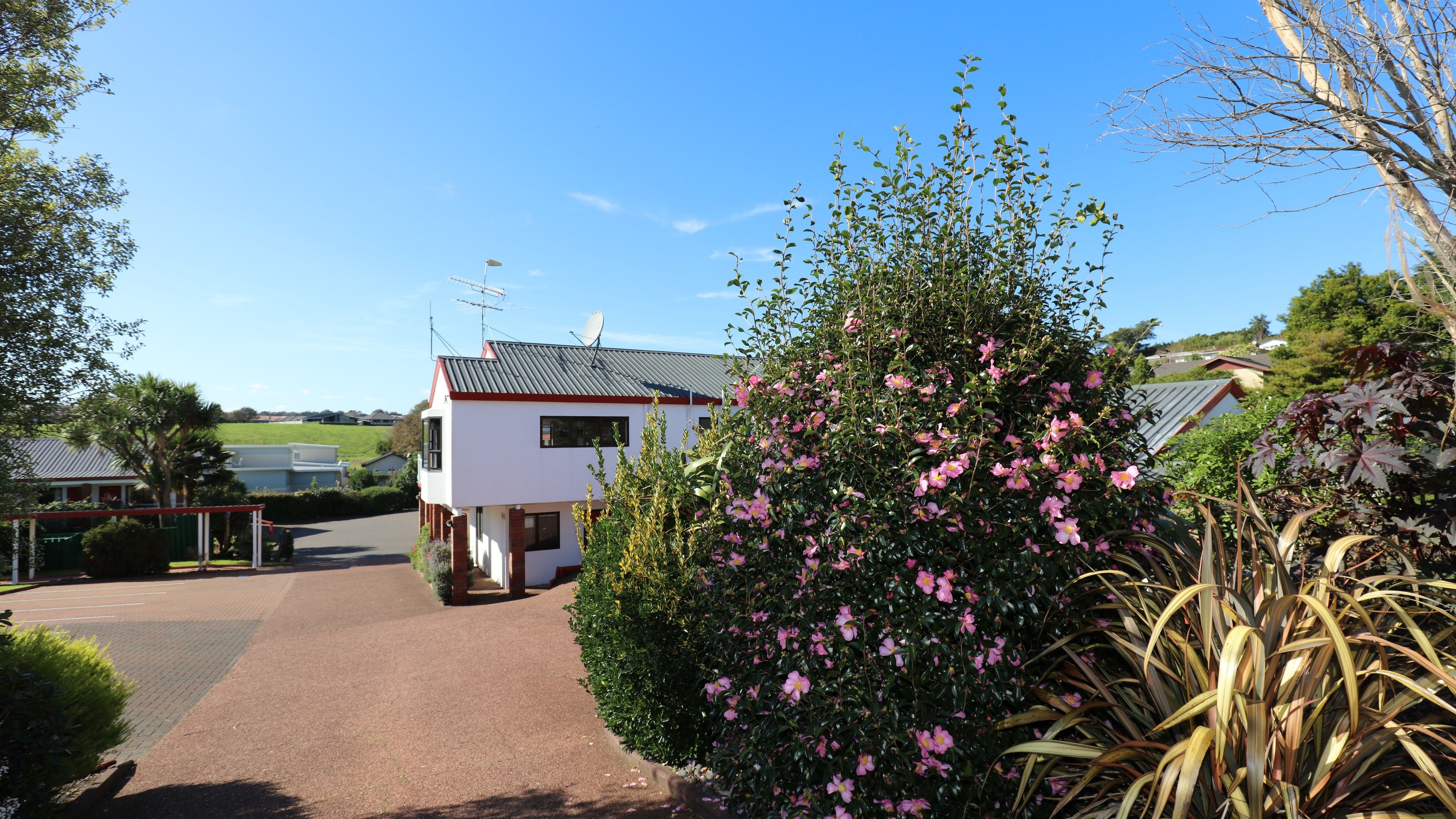 Een wit huis met een rood dak, een oprit en een struik met roze bloemen.