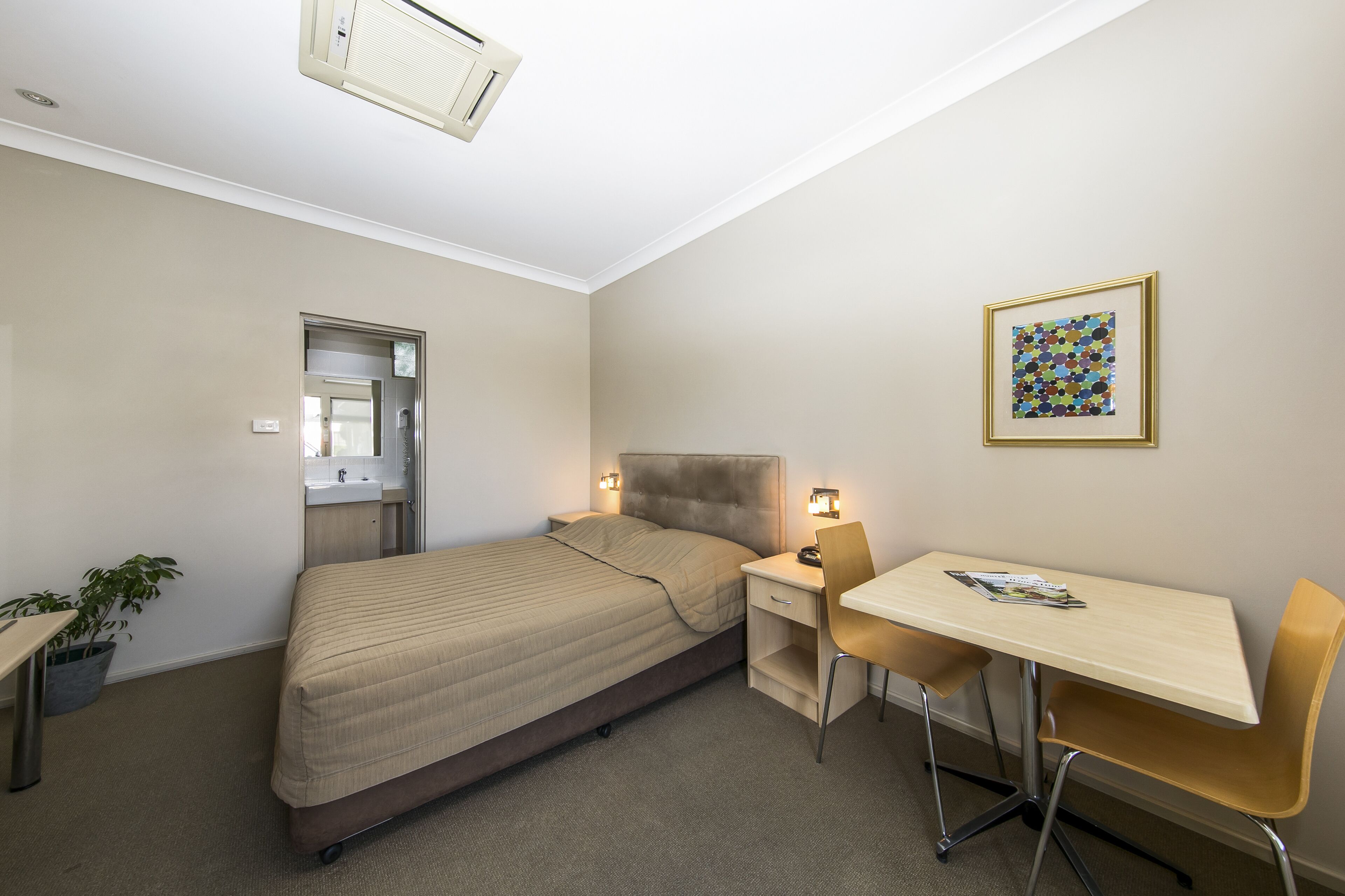 Ein kleines Hotelzimmer mit Bett, Nachttisch, Stuhl, Schreibtisch und einer Zimmerpflanze.