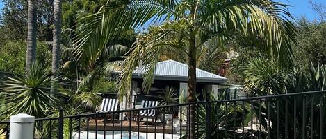 A pool area with a hammock, palm trees, and a building in the background.