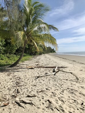 Beach - Daintree Siesta (Diwan)