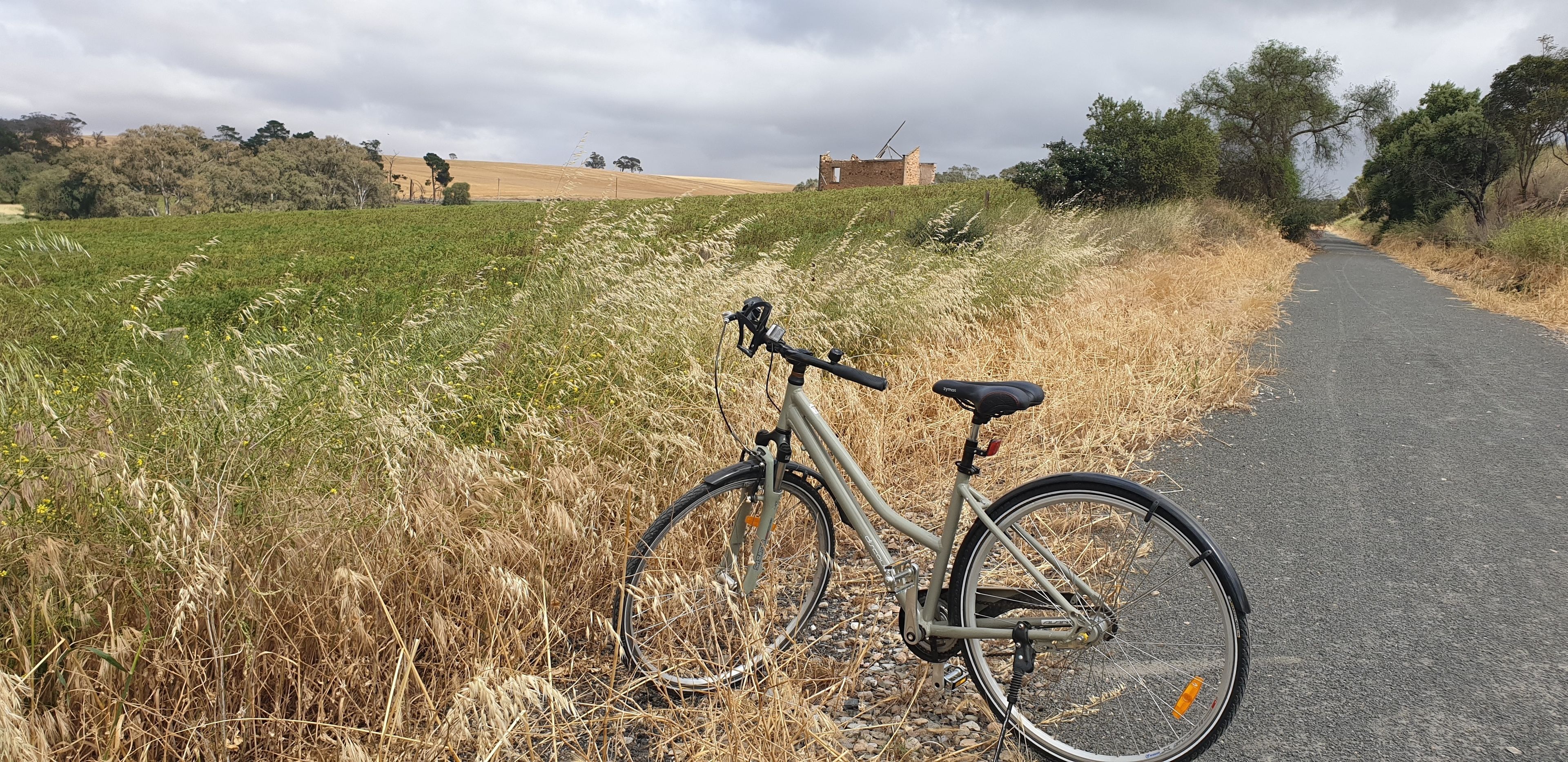 A bicycle parked on a rural road with fields on either side.