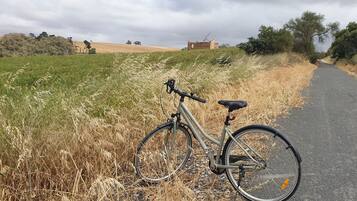 A bicycle parked on a rural road with fields on either side.
