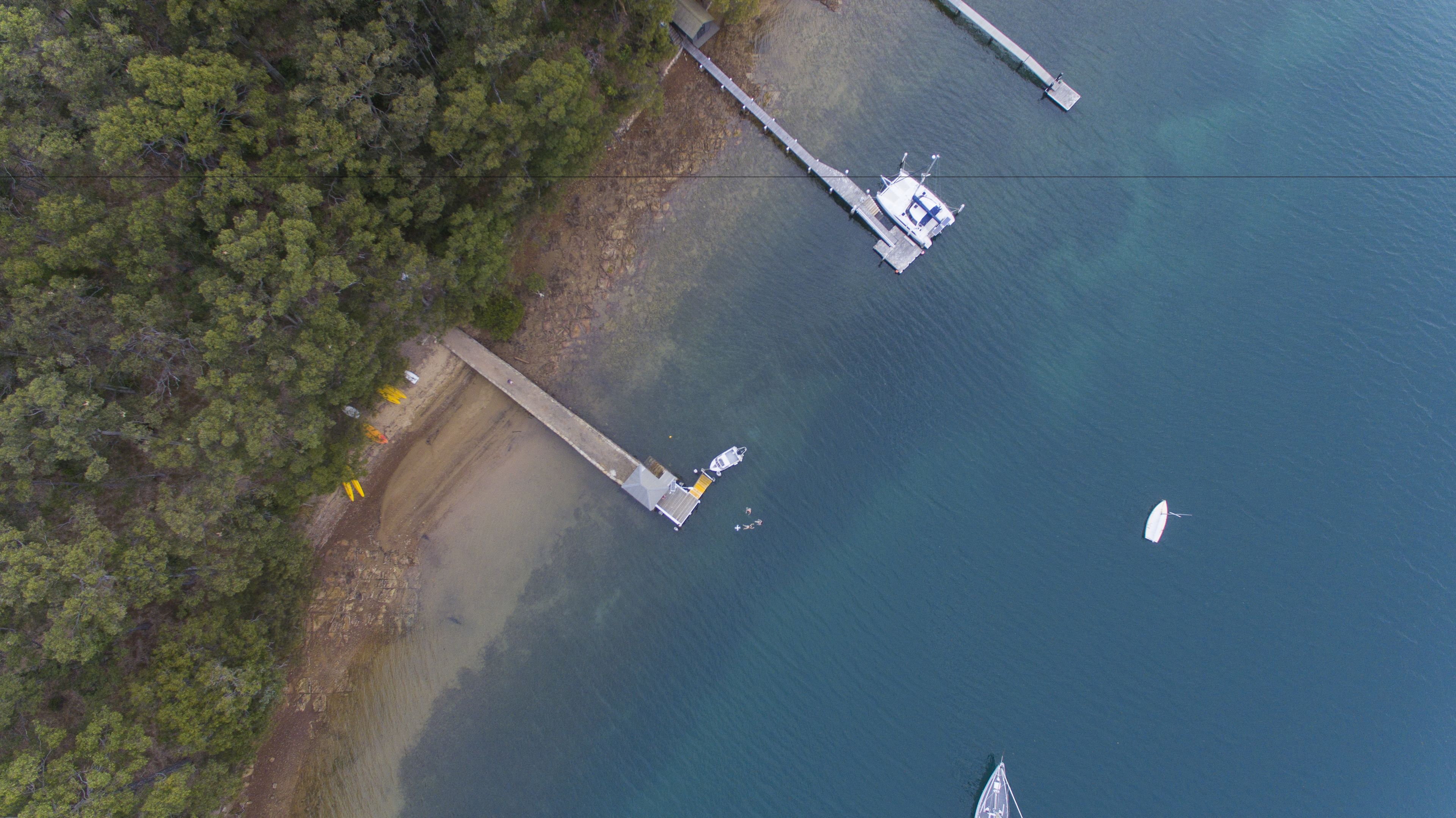 Luchtbeeld van een steiger die in het water uitloopt, omringd door dicht bos.